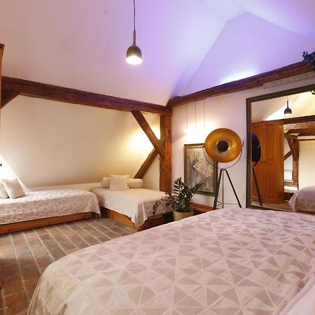 Český Krumlov Wellness Pension Ametyst מראה חיצוני תמונה