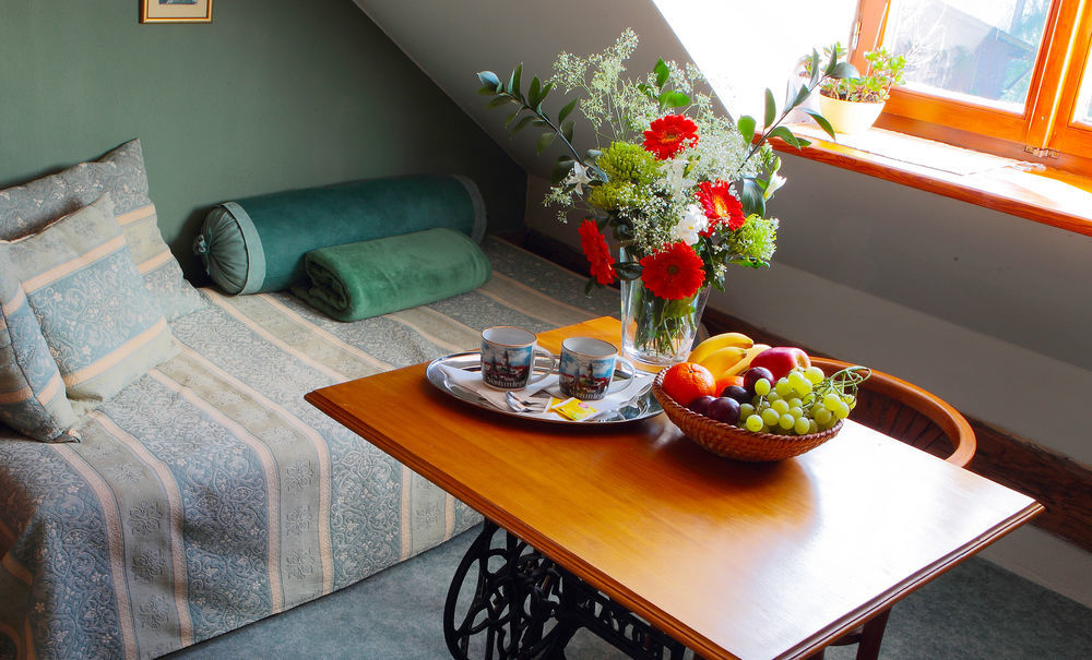 Český Krumlov Wellness Pension Ametyst מראה חיצוני תמונה